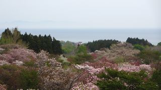 是非　第２公園まで