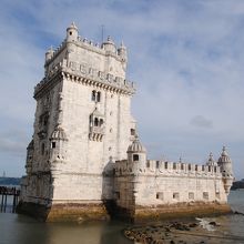 西陽が当たる美しい姿です。