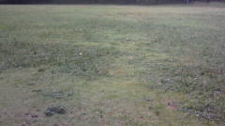 成田街道を歩く