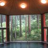 神秘的な杉木立の中の温泉−郷愁のみらくる亭
