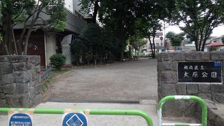 夏になるとプールが解放され、子供たちが集まってきます。