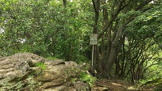 ハードさもあります