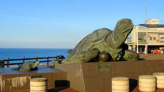 世界一の海ガメ