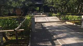 緑と木造建築が美しいです