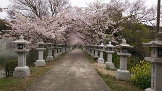 竜桜公園