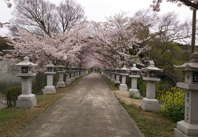 竜桜公園