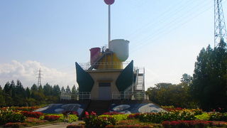 チューリップが咲いてない時期は・・・・