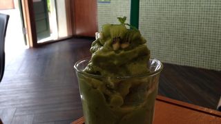 初めてのユーグレナ（ミドリムシ）