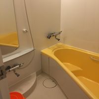 浅めのバスタブで幼児でも大丈夫なつくりになっています