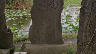 このエリアの石碑では普通の存在