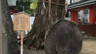 神戸復興のシンボルです