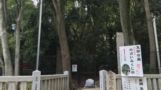 生田神社裏の森です