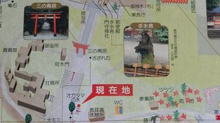 鮮やかな緑が綺麗