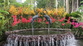 広大な植物園の中にあります