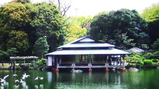 四季を通して草花や水鳥の楽しめる庭園です