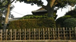 ２年ぶりに訪問