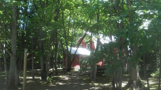 林の中にたたずむ