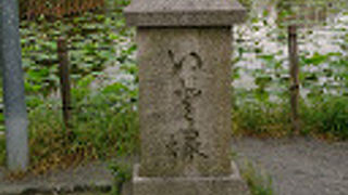 かなり古くから建っている感じです。