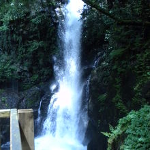 ここからでも十分迫力有りました