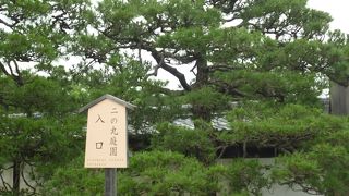 力強い印象です