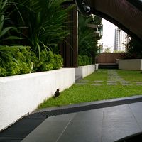 プールでいつも口を開けてるトリ君