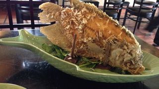 エレファントフィッシュ！