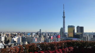 浅草を代表する光景のひとつです！