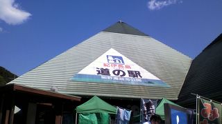 マンボウ食べたかったー！