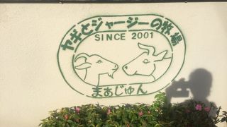 フローズンヨーグルト