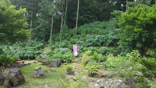 ひぬまあじさいまつり