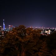 福岡タワーを横切る飛行機の夜景