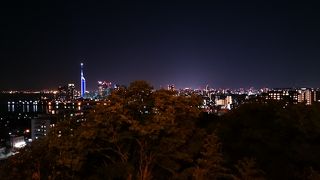 福岡タワーを横切る飛行機の夜景