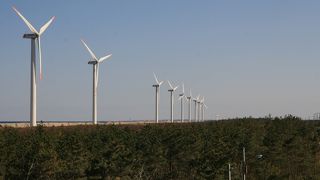 12基の風力発電所が連立していて、中々の大迫力です