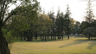 個人的にはA地区（東八道路北側）がお勧めです。