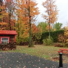 メープル小屋と紅葉
