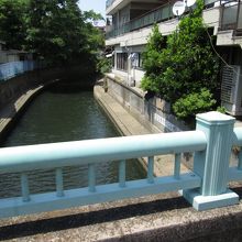 橋から見た川の風景