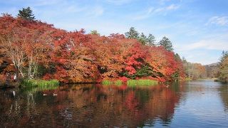 紅葉は最高です！