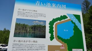 一応青いかな？。