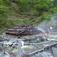 歩いてすぐのところに湯元温泉の源泉がある。