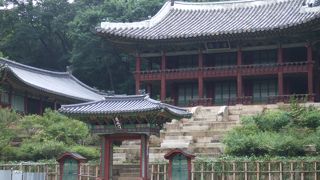 ガイドツアーでないと入れない昌徳宮の秘苑☆