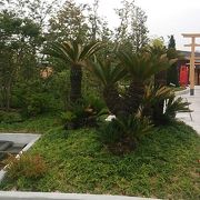日本一の広さの屋上庭園らしい…