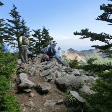 黒斑山山頂