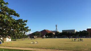 市街地中心部の広い公園