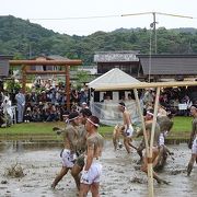 2015年の御田植祭に行ってきました！