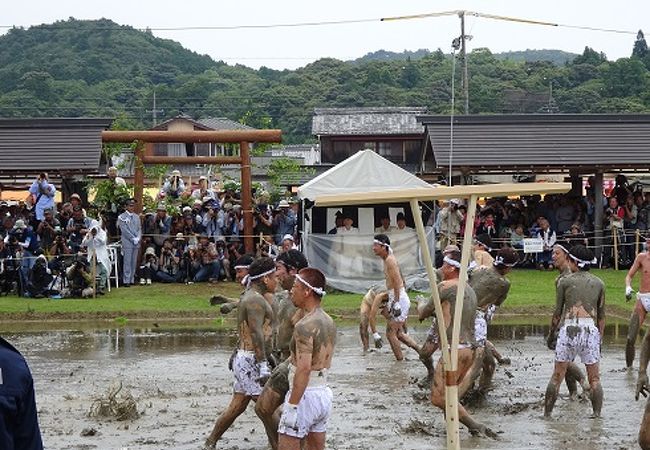 2015年の御田植祭に行ってきました！