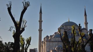 乗継時間にちょっと寄り道(イスタンブール)