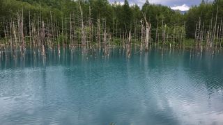 コバルトブルーの池が楽しめます　砂利道です