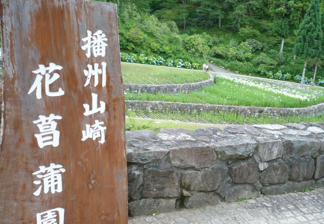 播州山崎花菖蒲園 クチコミ アクセス 営業時間 宍粟 フォートラベル 播州山崎花菖蒲園 クチコミ アクセス 営業時間 宍粟 フォートラベル