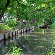 日本の中にチチカカ湖！