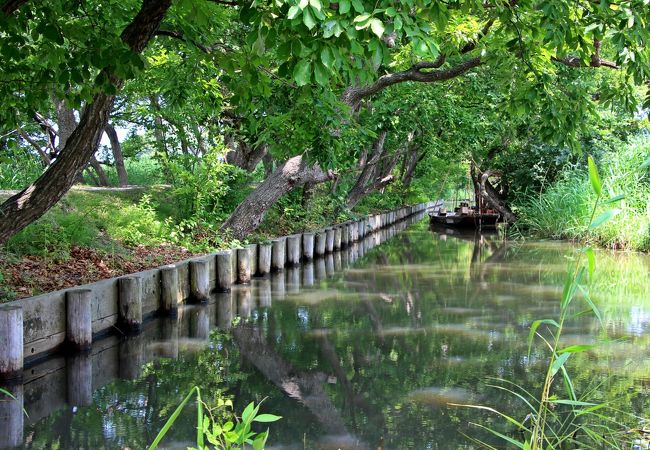 日本の中にチチカカ湖！